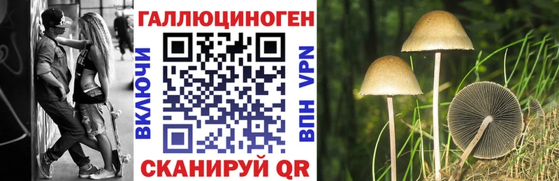 Псилоцибиновые грибы Psilocybe Купить где Еманжелинск